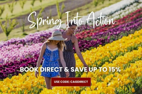 Spring Into Action